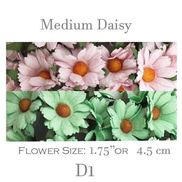 Medium Daisy Flowers D1